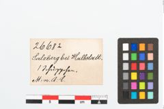 Etikett zu Bronzeriemenbesatzknopf (NHMW-PRAE-026682)